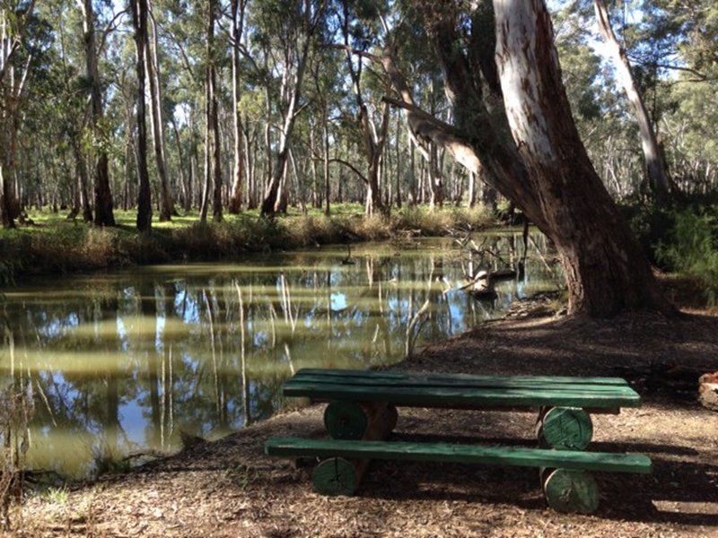 Gulpa Creek, Mathoura (NSW) Walking Maps