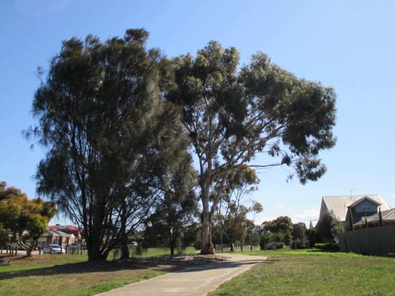 Kingston Boulevard and dry creek stroll Walking Maps