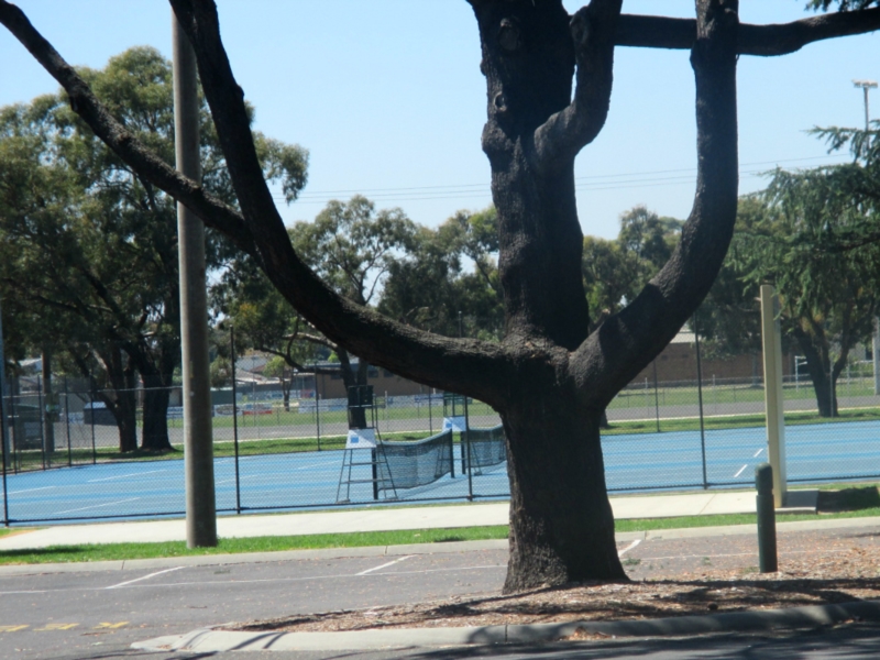 Traralgon Creek Track Walking Maps