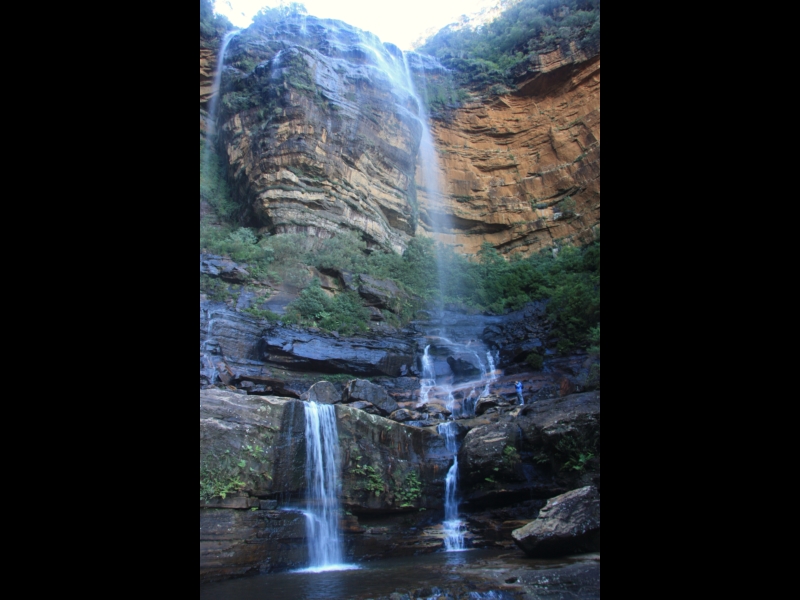 Wentworth Falls National / Wentworth Pass Walking Maps