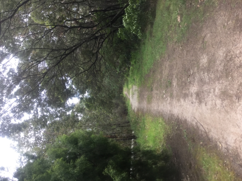 Nar Nar Goon North Water Walk Walking Maps