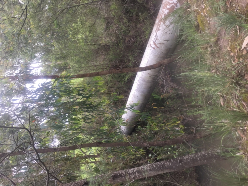 Nar Nar Goon North Water Walk Walking Maps