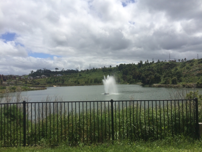 Cardinia lakes walk Walking Maps