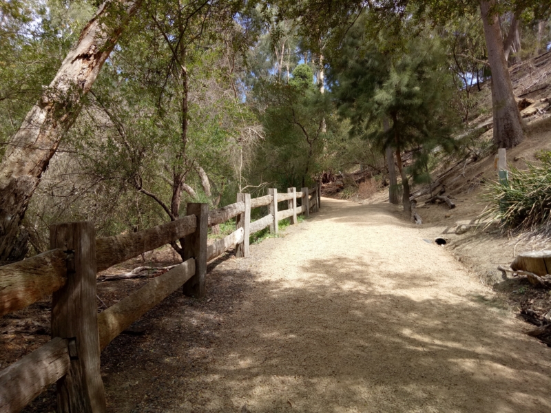 Yarran Dheran Reserve Walking Maps