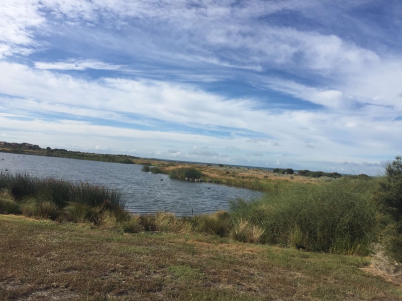 Blenheim road to williamstown beach Walking Maps