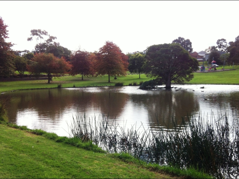 Drouin Trees of Many Nations Walk Walking Maps