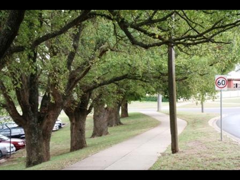 Drouin Trees of Many Nations Walk Walking Maps