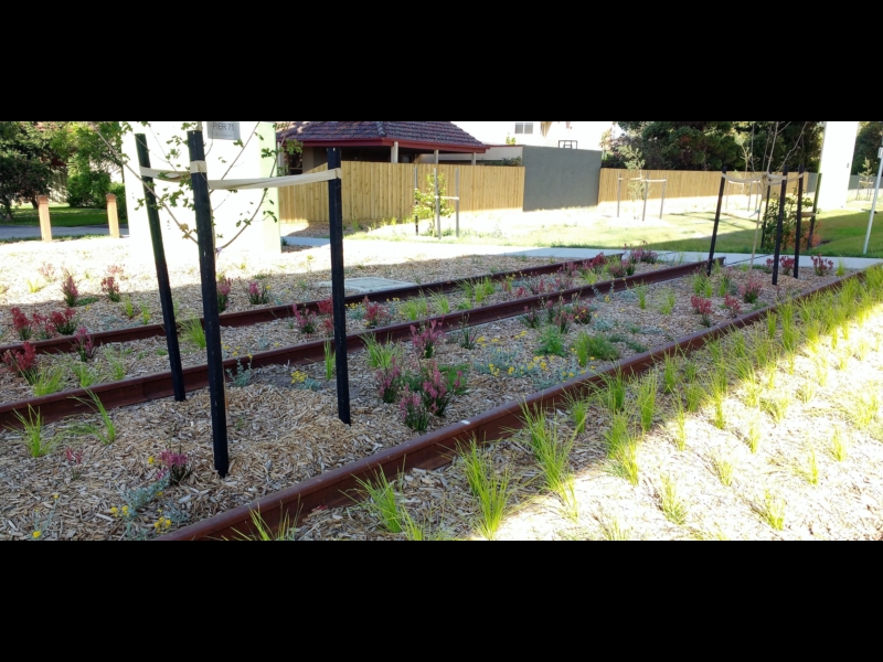 Djerring Trail Caulfield to Oakleigh Walking Maps