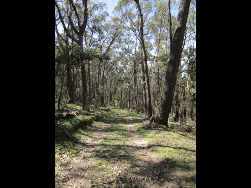 Warrandyte River Reserve, Attraction, Melbourne, Victoria, Australia