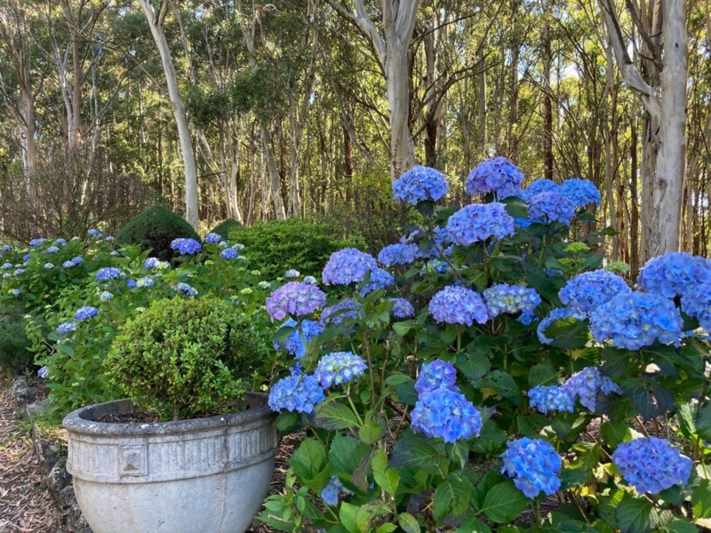 Mount Macedon hike Walking Maps