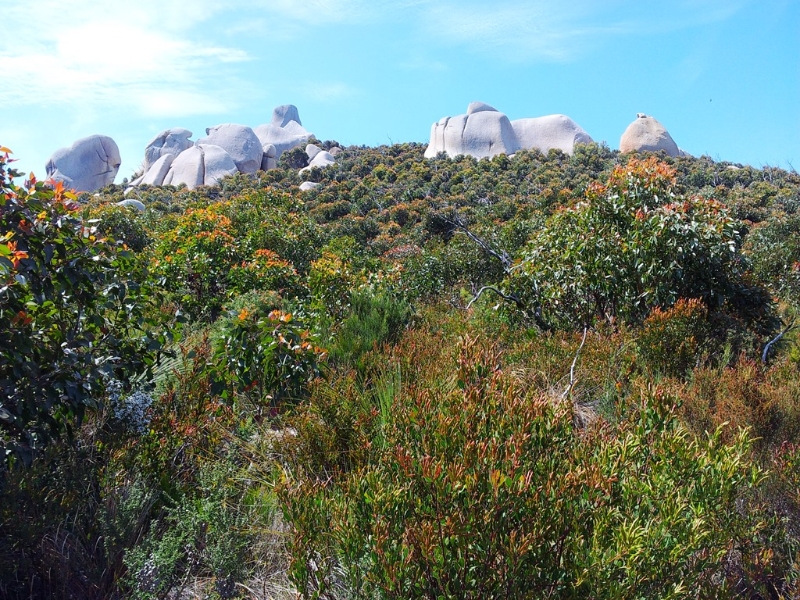 Refuge Cove overnight hike Walking Maps