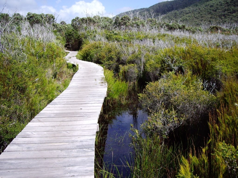 Refuge Cove overnight hike Walking Maps