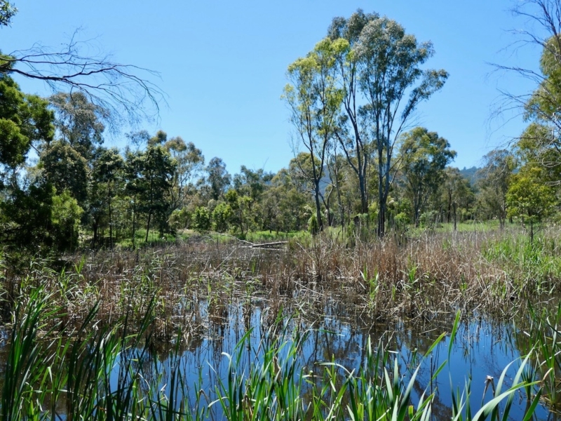 Retarding Basin Walk Walking Maps