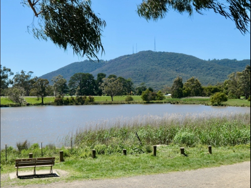 Retarding Basin Walk Walking Maps