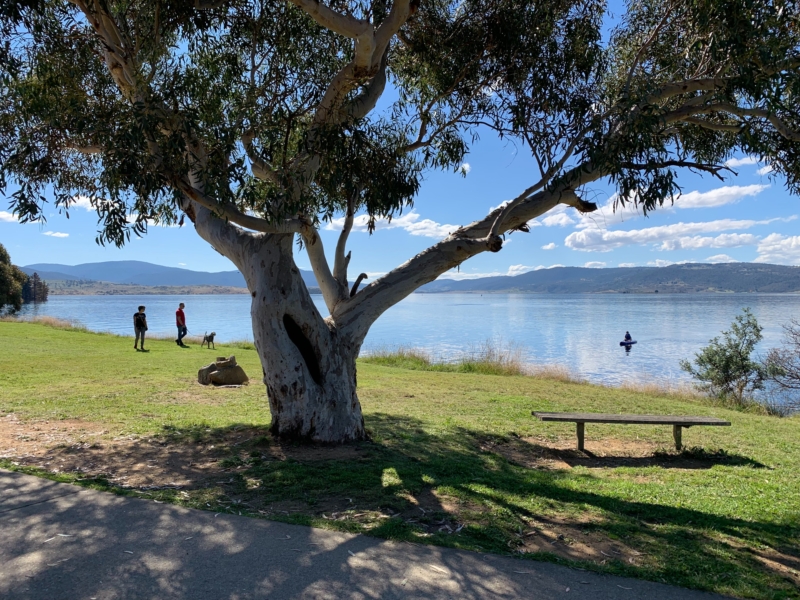 Jindabyne walk Walking Maps