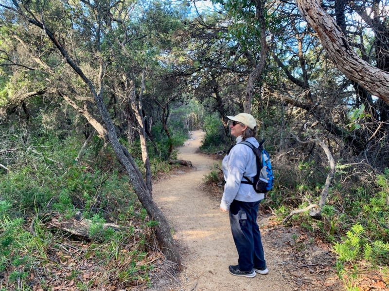 Pinnacles loop walk Walking Maps