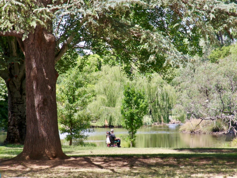 Castlemaine Botanical Gardens Accessible Walk Walking Maps