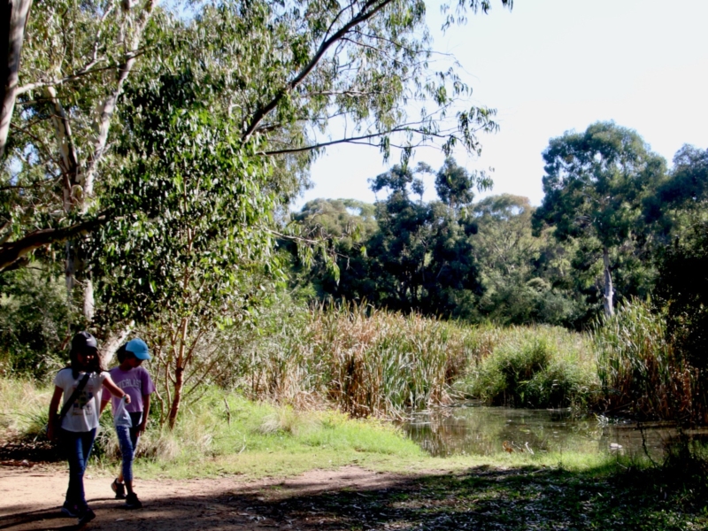 Pipemakers Park Family Walk Walking Maps