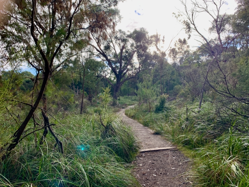Lysterfield Lake Circuit Park Walk Walking Maps lysterfield-lake-circuit-park-walk-walking-maps