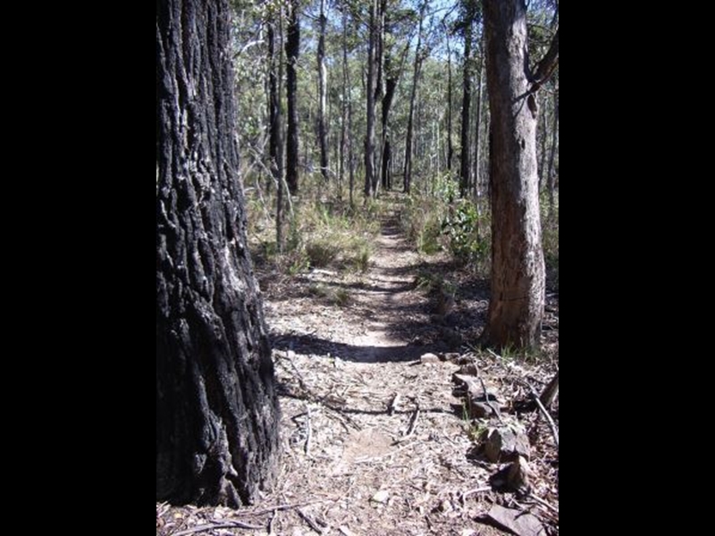 Briagolong Blue Pool Walking Track Fern Gully Walking Maps