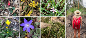 Spotlight: Strathbogie Shire